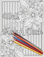 Load image into Gallery viewer, Where Are My Fucking Crayons? Adult Swear Words Coloring Book
