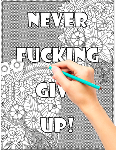 Where Are My Fucking Crayons? Adult Swear Words Coloring Book